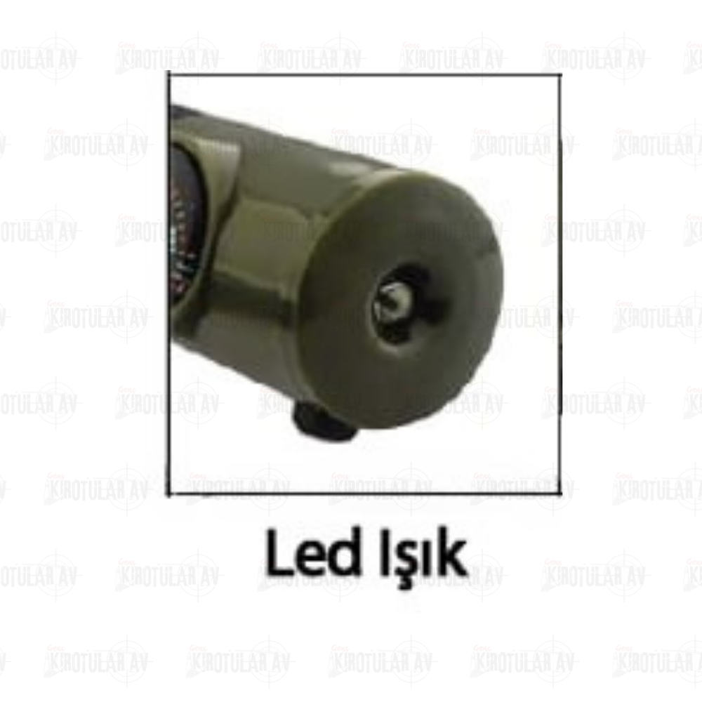 Text