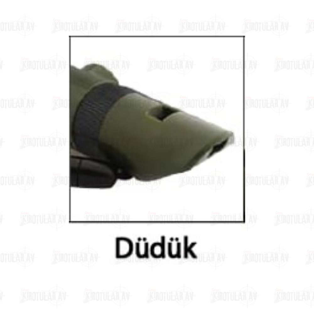 Text